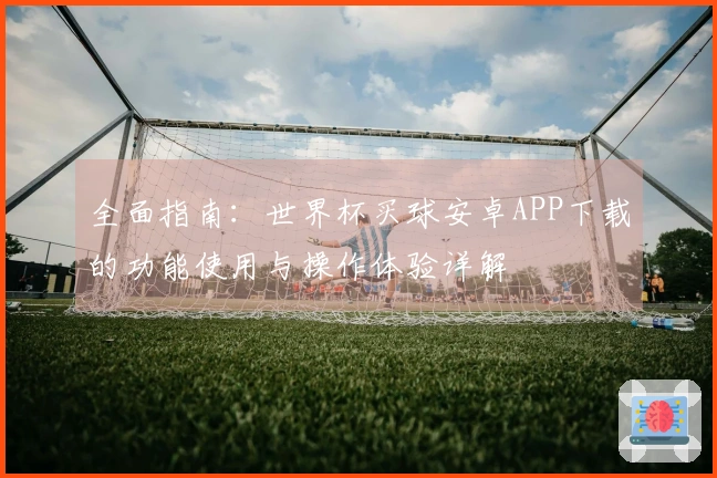 全面指南：世界杯买球安卓APP下载的功能使用与操作体验详解