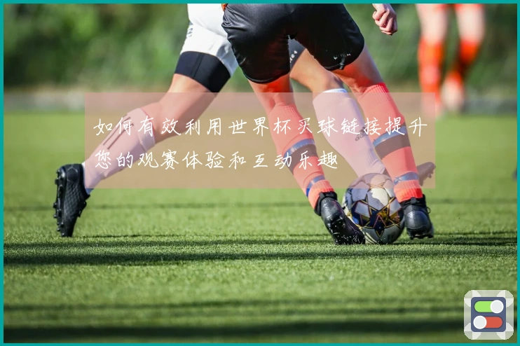 如何有效利用世界杯买球链接提升您的观赛体验和互动乐趣