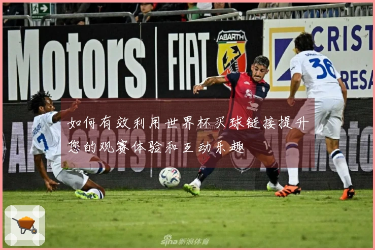 如何有效利用世界杯买球链接提升您的观赛体验和互动乐趣