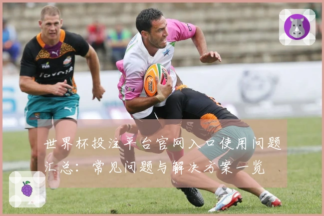 世界杯投注平台官网入口使用问题汇总：常见问题与解决方案一览