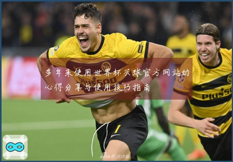 多年来使用世界杯买球官方网站的心得分享与使用技巧指南