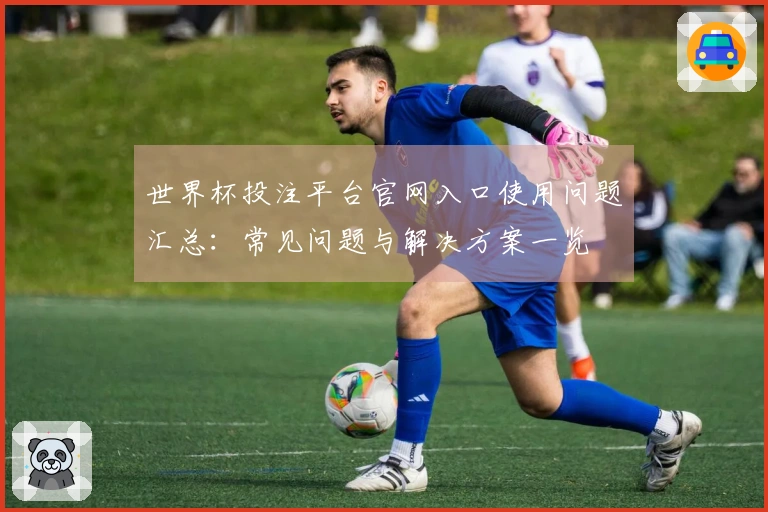 世界杯投注平台官网入口使用问题汇总：常见问题与解决方案一览