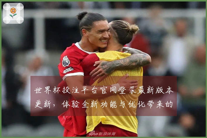 世界杯投注平台官网登录最新版本更新，体验全新功能与优化带来的畅快感受