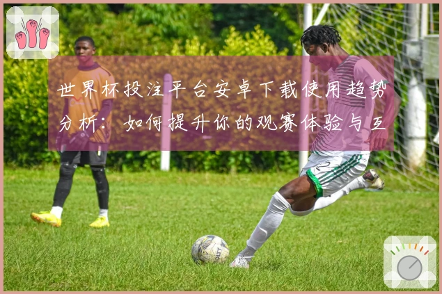 世界杯投注平台安卓下载使用趋势分析：如何提升你的观赛体验与互动乐趣