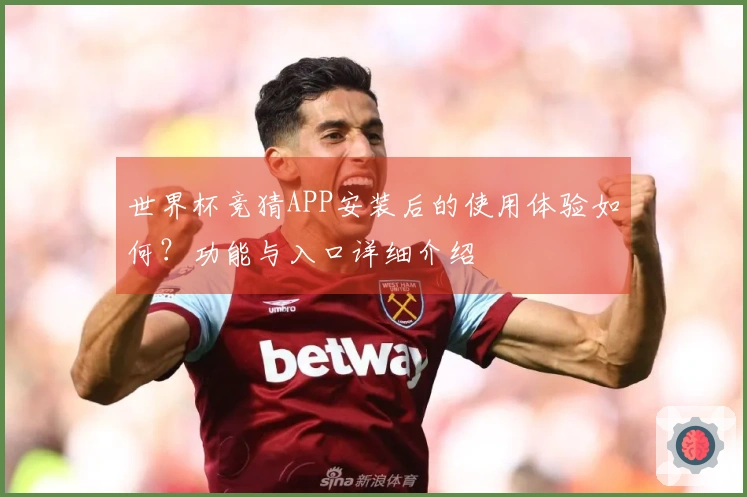 世界杯竞猜APP安装后的使用体验如何？功能与入口详细介绍