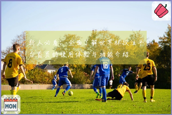 新人必看：全面了解世界杯投注平台首页的使用体验与功能介绍