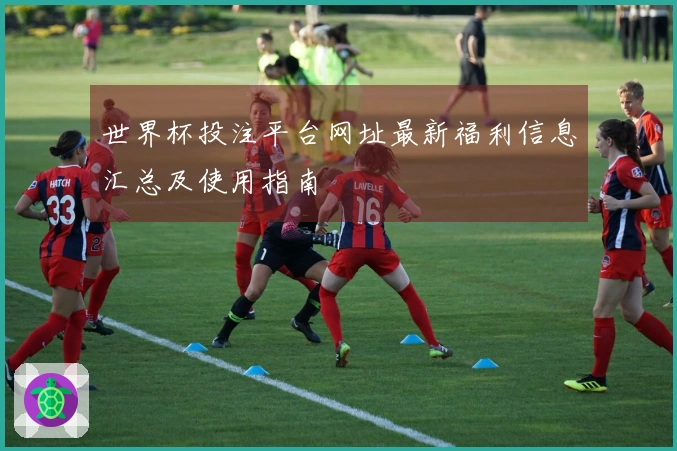 世界杯投注平台网址最新福利信息汇总及使用指南