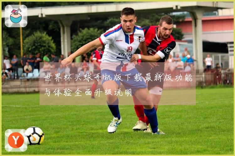 世界杯买球手机版下载最新版功能与体验全面升级说明