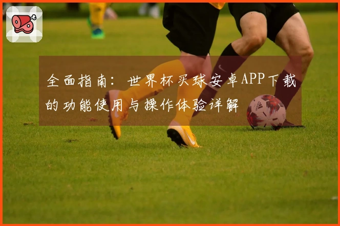 全面指南：世界杯买球安卓APP下载的功能使用与操作体验详解